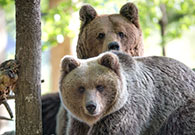 Zehn Tagen in Slowenien