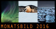 Monatsbild 2016