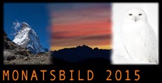 Monatsbild 2015