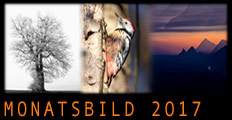 Monatsbild 2017