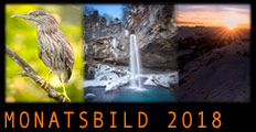 Monatsbild 2018