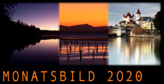 Monatsbild 2020