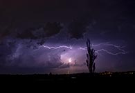 Lichtspiel der Natur