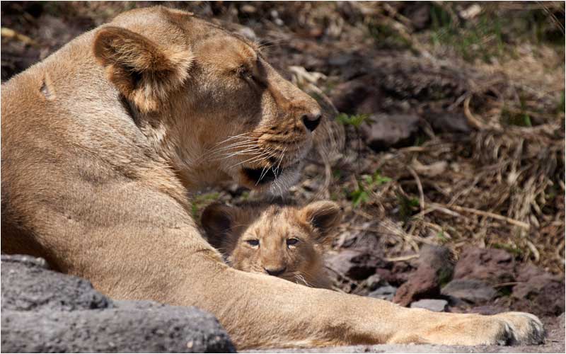 Die kleine Jeevana gut geschützt in den 