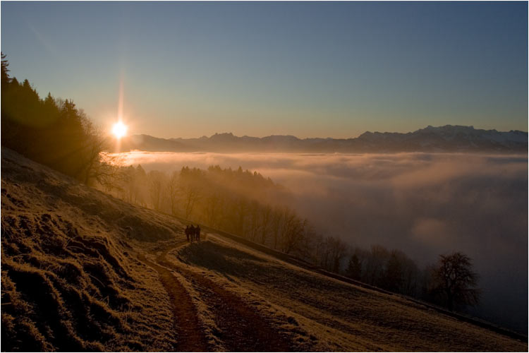 Zürcher Oberland: Morgenstimmung am Bachtel
