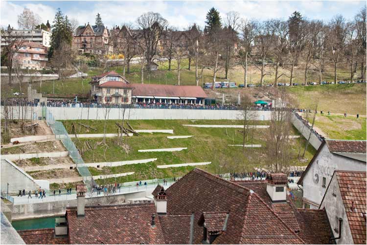 Blick aus der Nydeggbrücke auf den Bärenpark