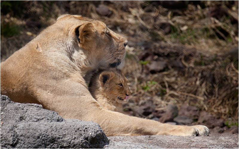 Man fühlt sich wirklich in Sicherheit hier...