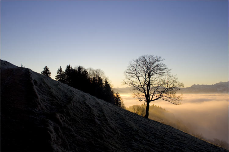 Zürcher Oberland: Morgenstimmung auf dem Bachtel