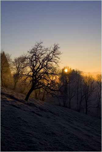 Sonnenaufgang am Bachtel