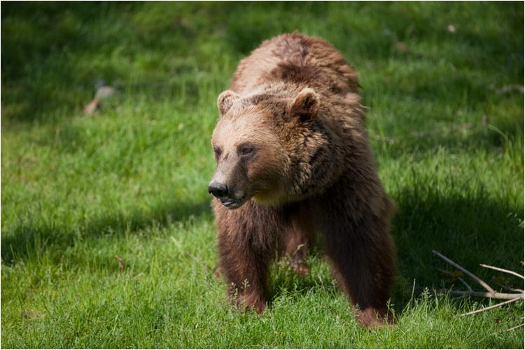 Björk, die Mutter, ist in Dänemark geboren