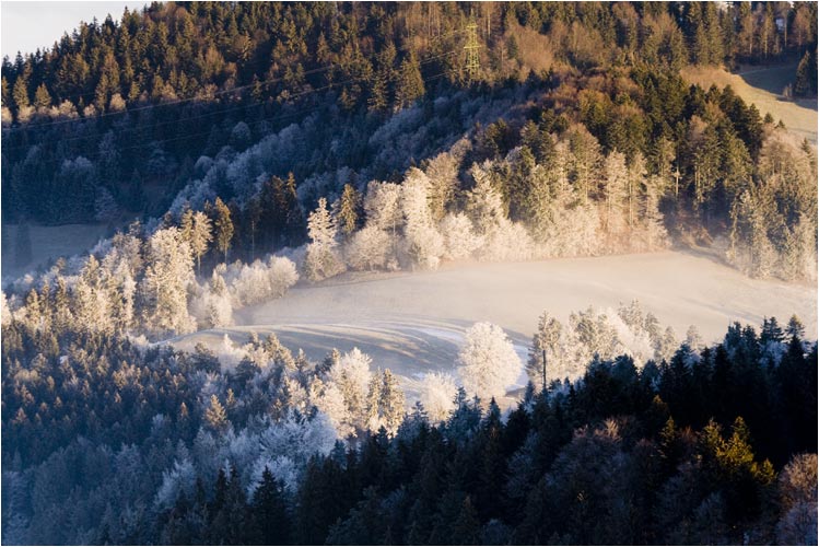 Schneereif in der Sonne, Blick aus dem Bachtelturm,