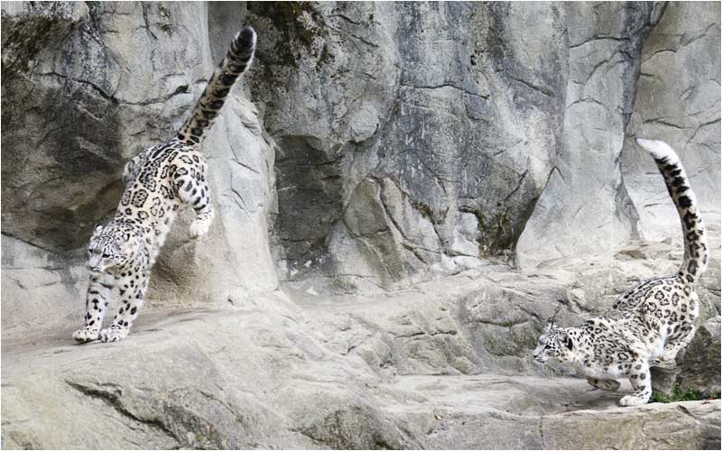 ... und landet in sicherem Revier.