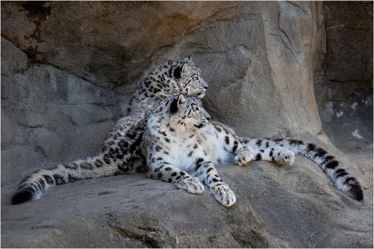 Dshamilja und Villy (Vater von Kailash) haben sich gut eingelebt