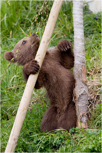 Hei du, komm doch wieder runter