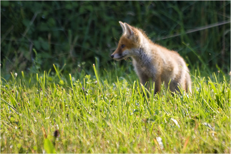 Was ist nun dort los?