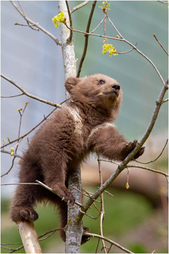 nein, die Aussicht ist super von da oben
