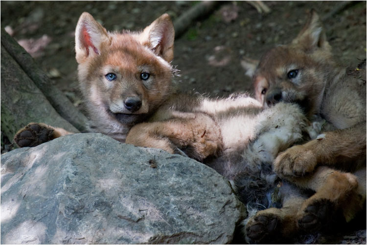 und wir amüsieren uns hier prächtig