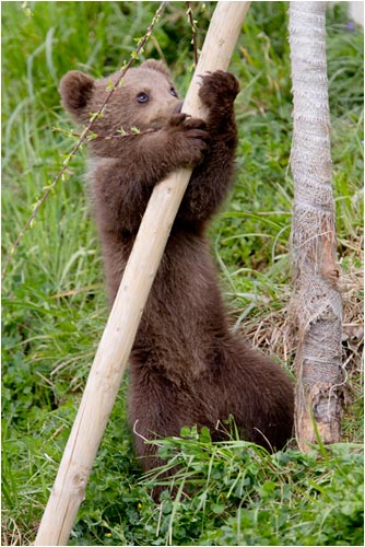 ...dann muss ich ein wenig nachhelfen damit du jetzt runter kommst!