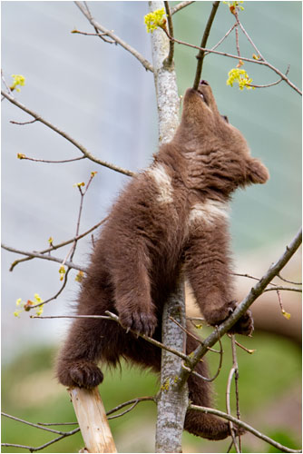 uuups, mal festhalten damit ich nicht runterfalle..