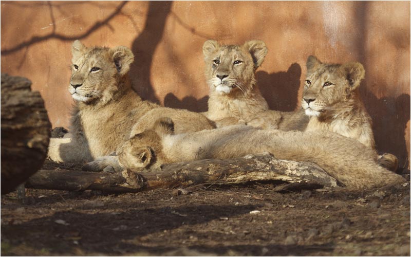 Da hat sich etwas bewegt