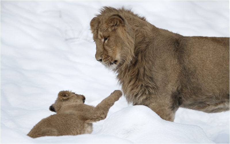 hier bekommst du mal eine von mir