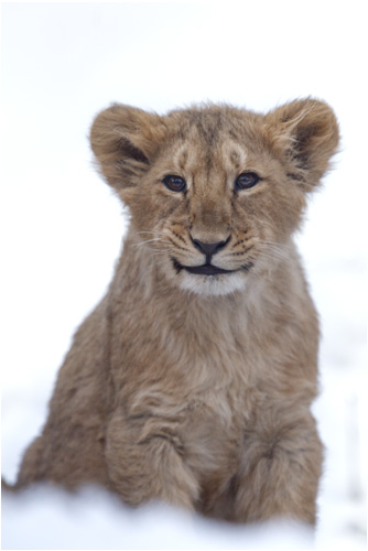 Du kannst schon lachen