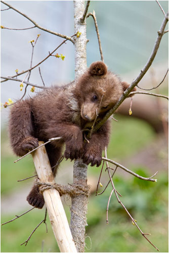 ich finde es schön hier oben