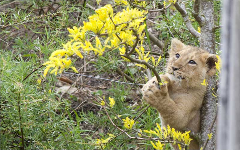 aber doch noch zu weit weg für mich