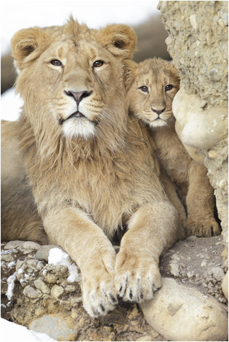 Mach mir Platz, ich will auch sehen