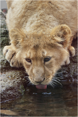 Schhhlourps, schhhhhhhlourps