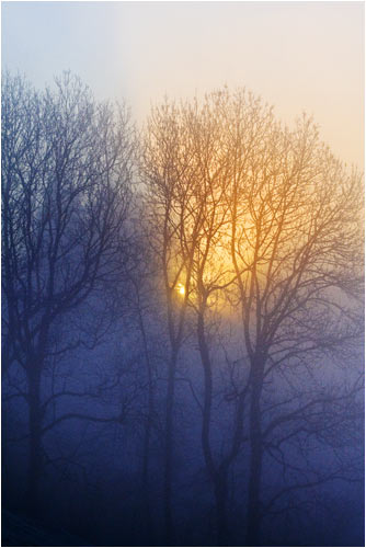 Wer gewinnt, Sonne oder Nebel? 