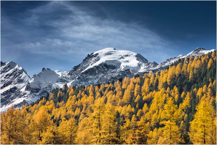 November, Spät herbst im Morteratsch-Tal