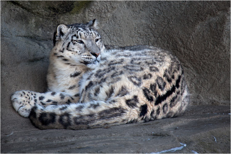 Was für ein scharfer Blick
