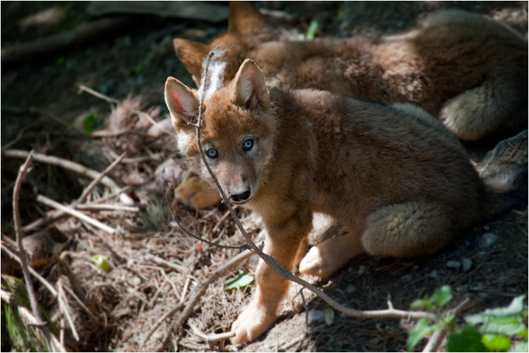 Ja ja schon gut, wir sind noch da