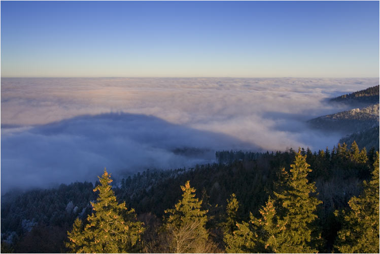 Nebeldecke am frühe Morgen