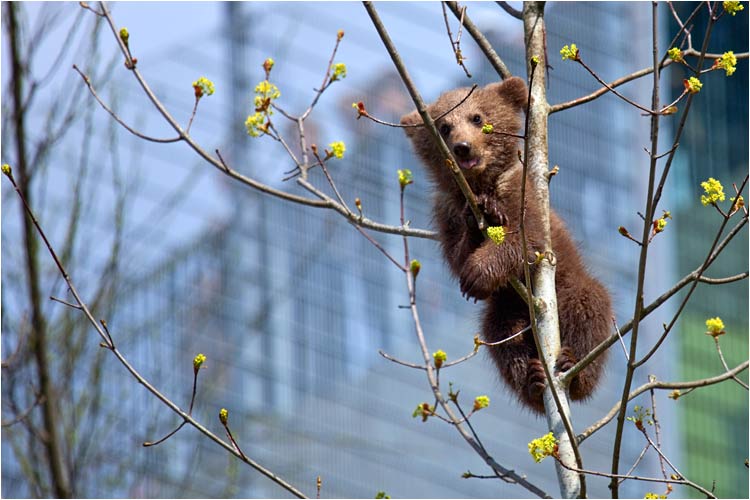 Gut! Bleibe unten, ich gehe noch höher