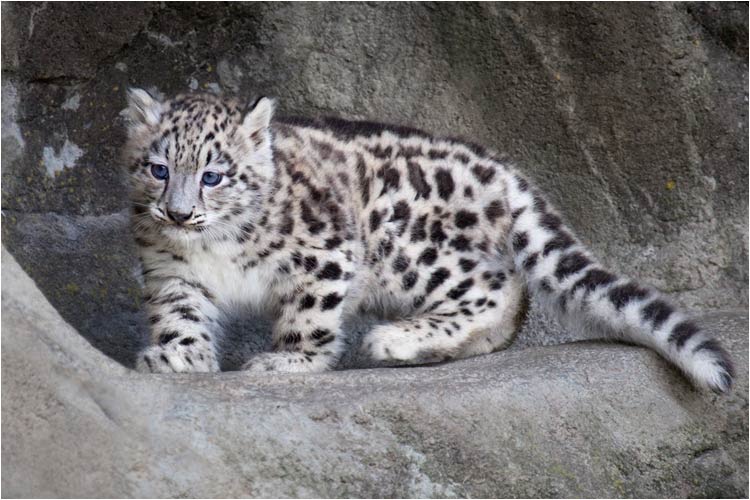 Hallo du ! Wie heisst du ?