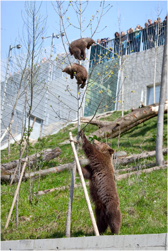 Hallo ihr Beide, jetzt kommt bitte runter!