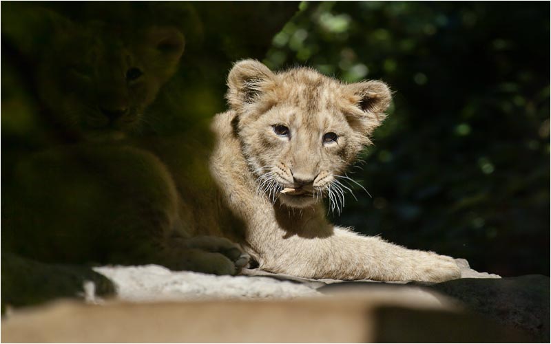 Dieses Hindernis wird mich nicht stoppen!