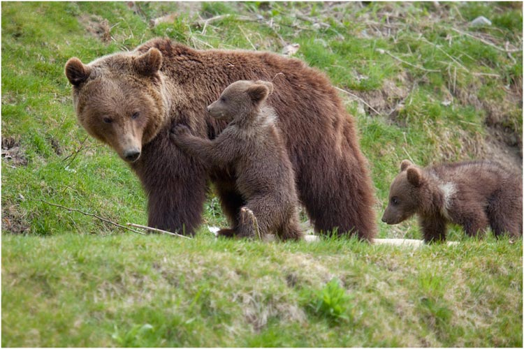 schon gut Mama, wir sind wieder da