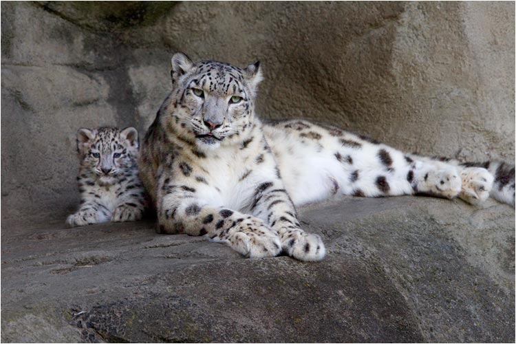 Mama ist sehr fürsorgelich um die kleine Kailash