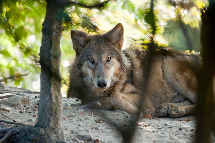 Es ist schon schön bei diese Wärme