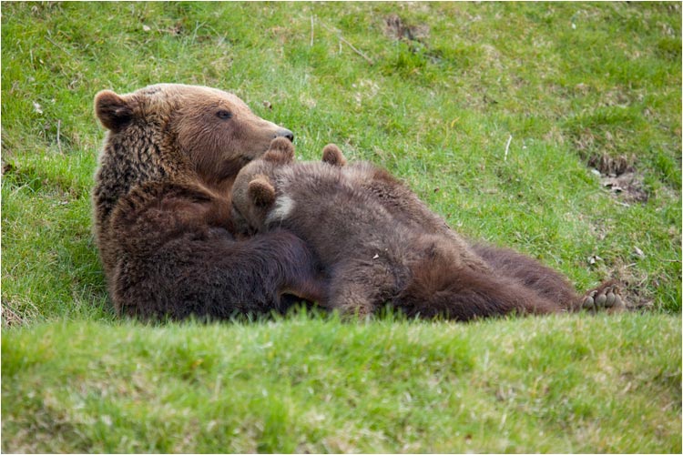 Zeit für das Apéro