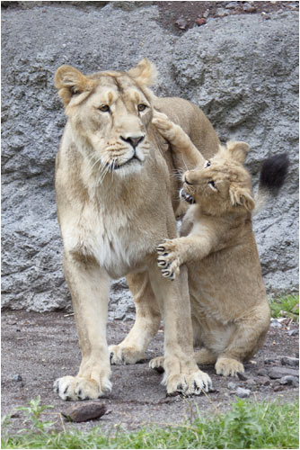  gar nicht zufrieden!