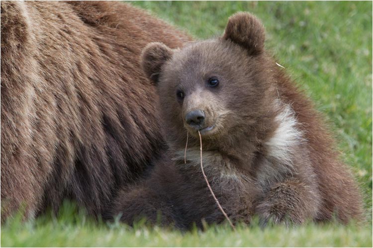 Ist es Urs oder Berna?