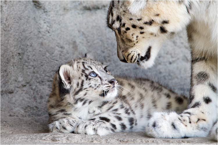 Wieso schaust du mich so an?