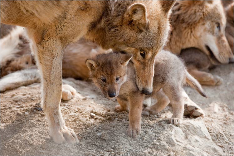 Das ist meine kleiner Sohn, er wurde am 22.03.2010 geboren