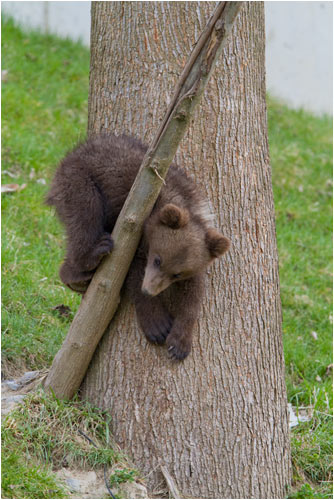 Hilfe! Ich bin eingeklemmt!