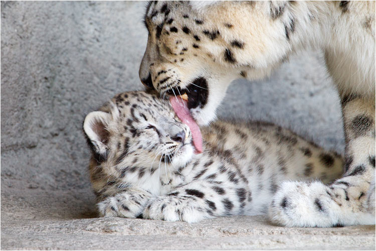 Hah nein, nicht schon wieder! Ich bin doch sauber!