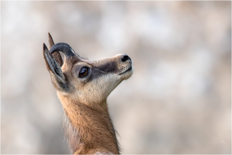 Hier geht es steil aufwärts
